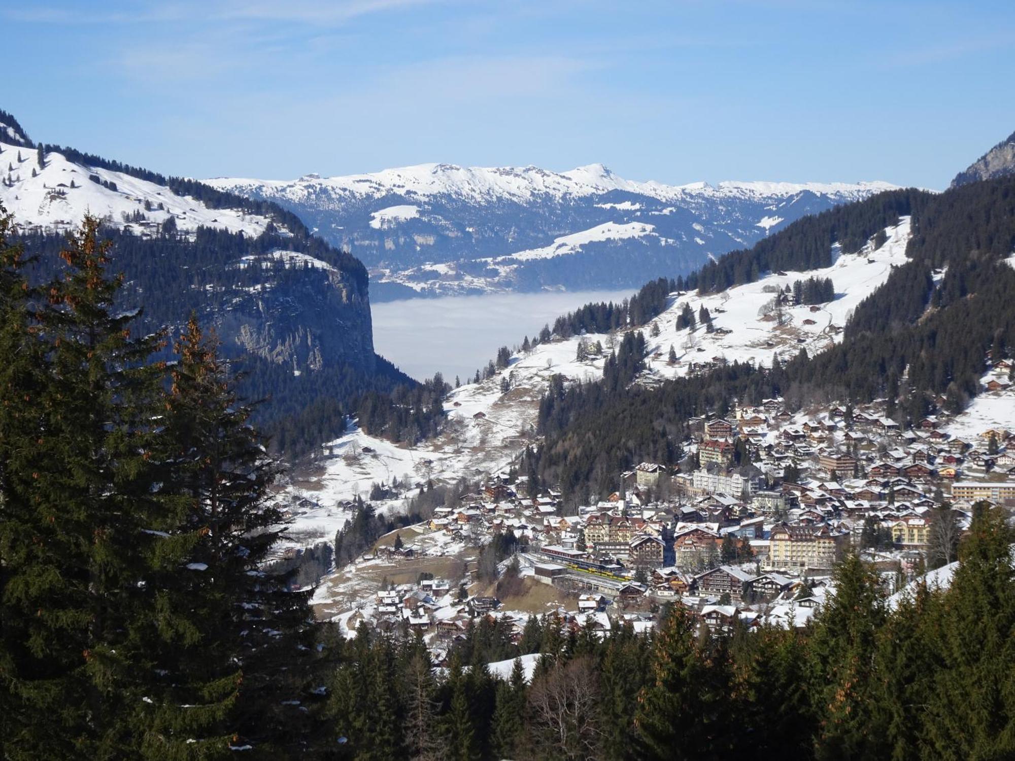 Chalet Alpina Gyger Венген Екстер'єр фото