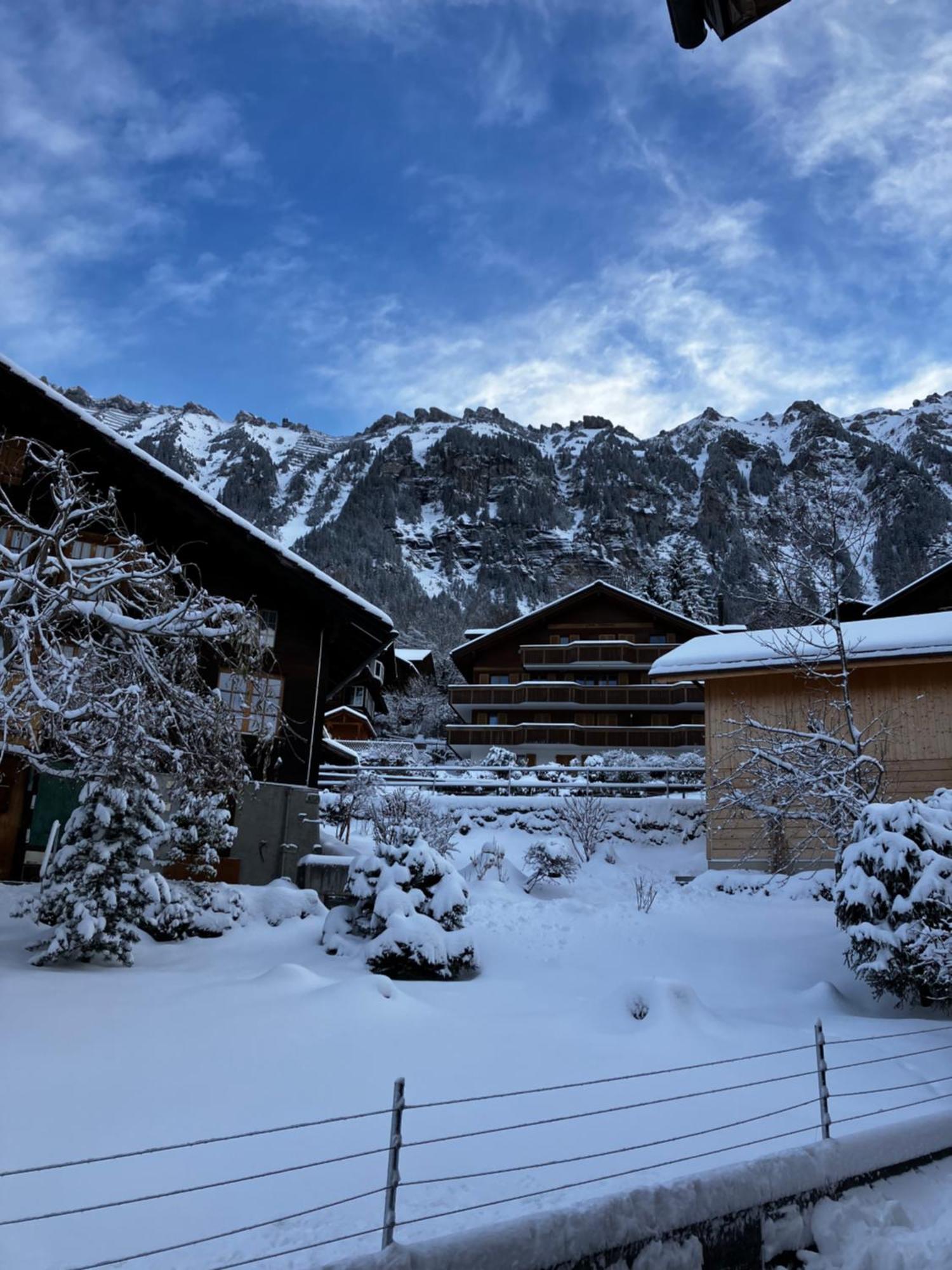 Chalet Alpina Gyger Венген Екстер'єр фото