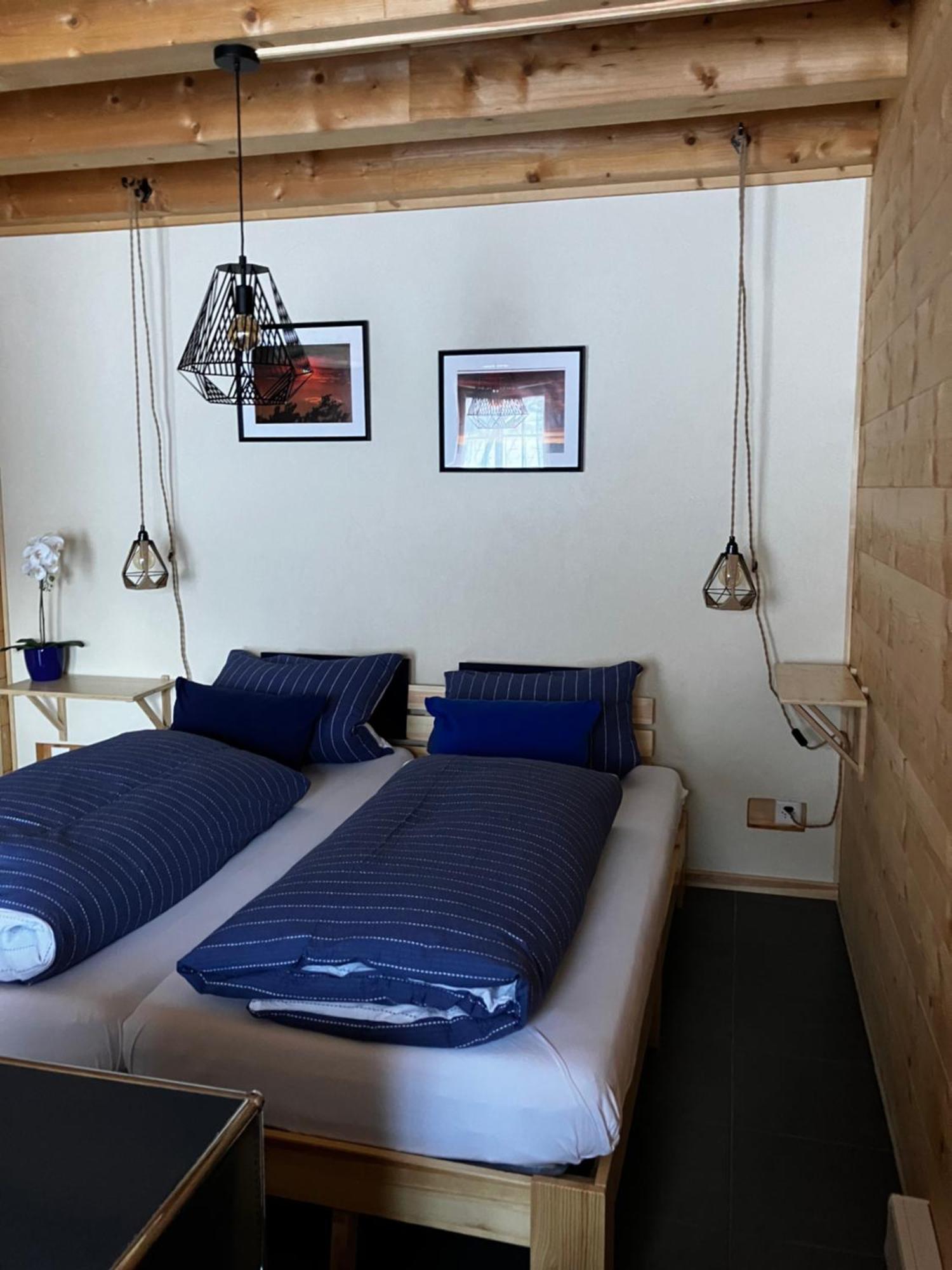 Chalet Alpina Gyger Венген Номер фото